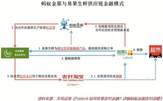 互联网金融在三农领域大有可为 互联网销售助力乡村振兴